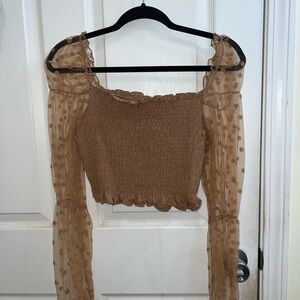 Elegant Brown Sheer Sleeve Top